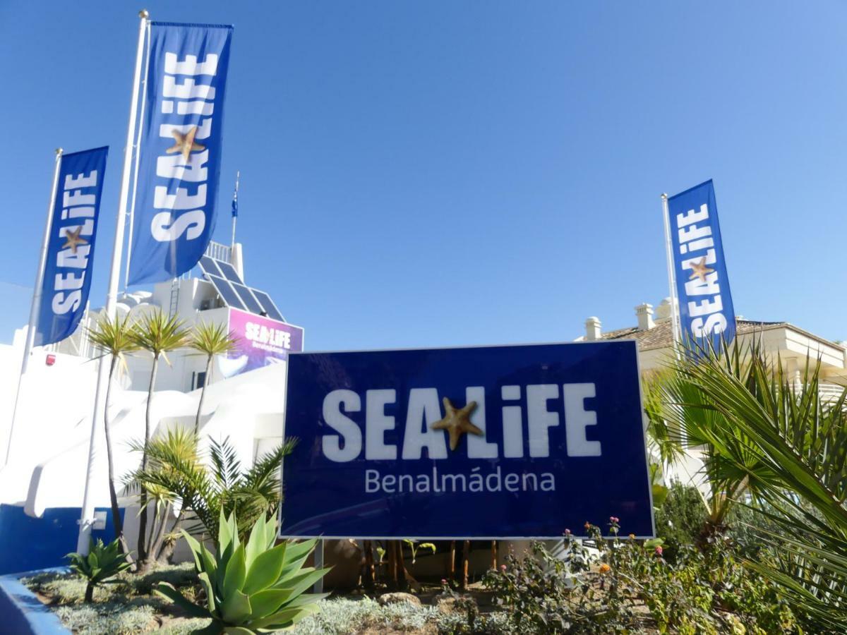 Apartamento Vacacional A 1 Minuto De La Playa - Carihuela 토레몰리노스 외부 사진